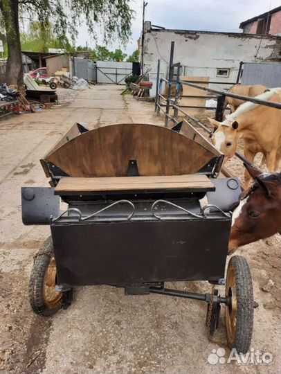 Экипажи для лошади