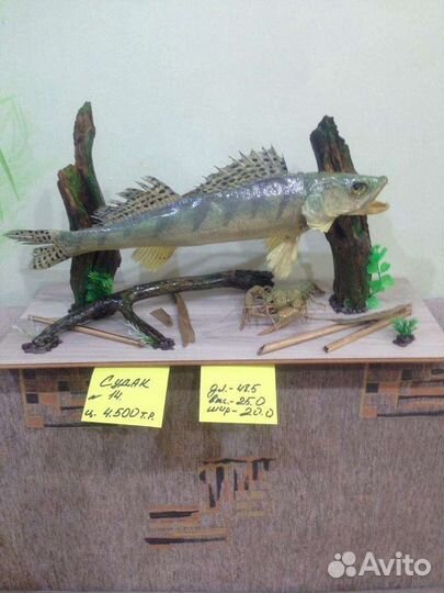 Подарки, сувениры, чучело судак