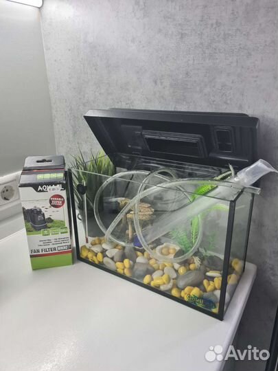Аквариум+сифон+фильт+градусник+декор