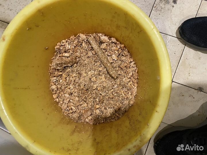 Ремонт электрических бойлеров / водонагревателей