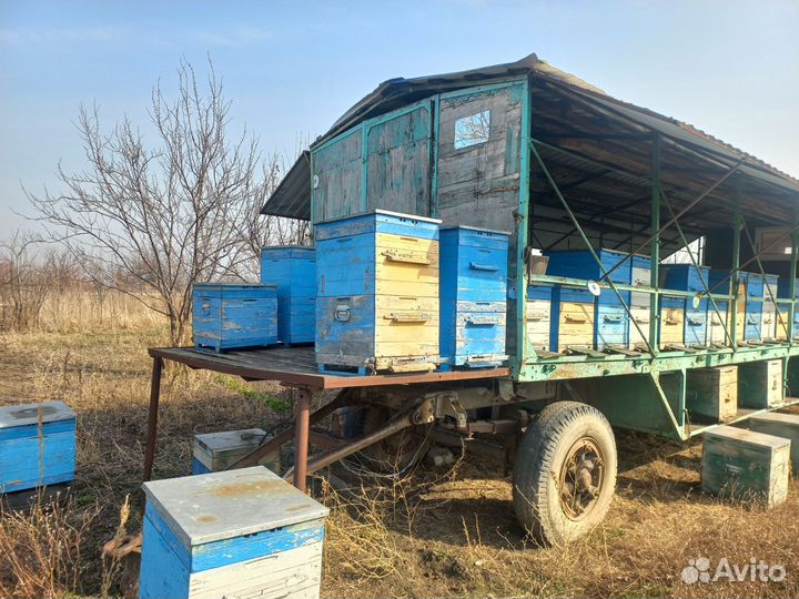 Пчелоприцеп пасека ульи