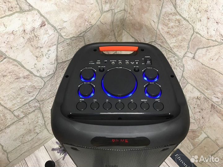 Большая колонка Eltronic 20-03