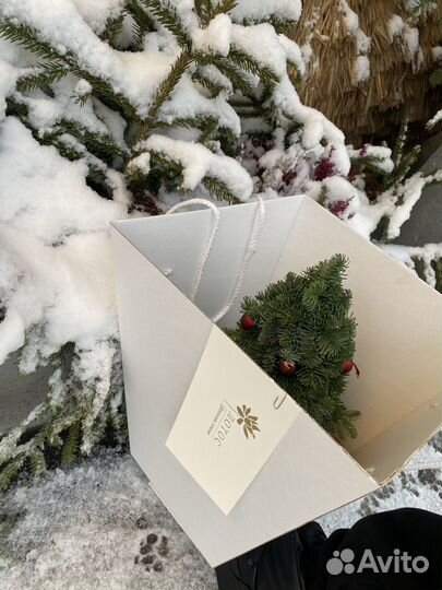 Елочка из натурального нобилиса хвои