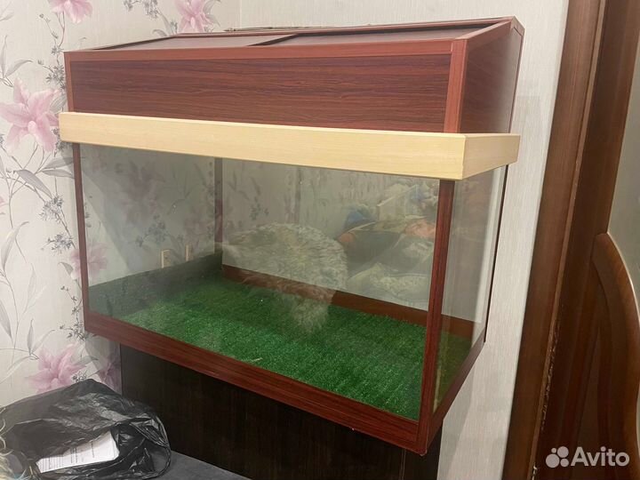 Террариум для рептилий