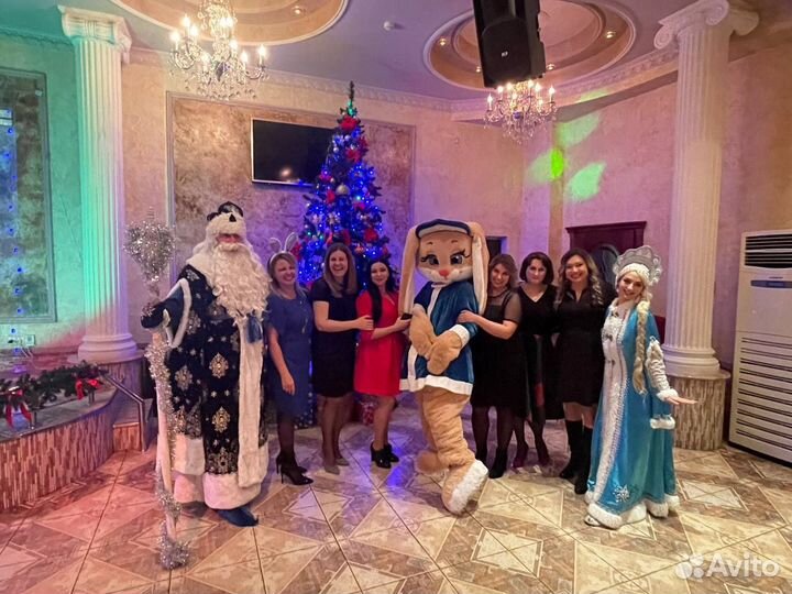 Дед мороз и снегурочка на корпоратив на дом