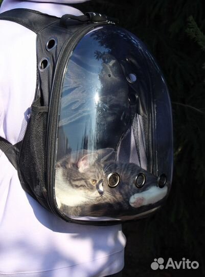 Переноска для кошек рюкзак