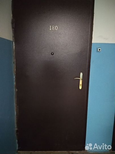 Дверь металлическая
