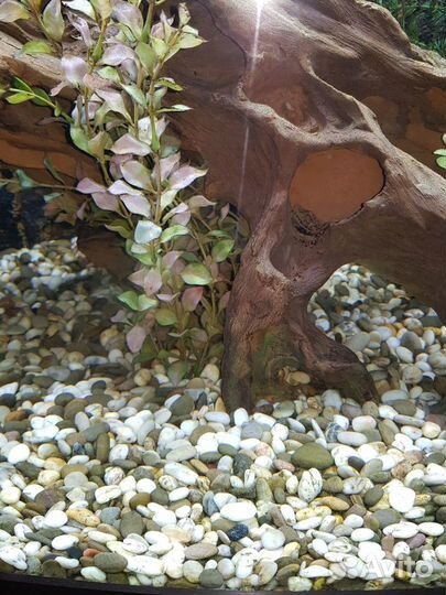 Грунт для аквариума(30 кг,20 литр),галька 10-25 мм