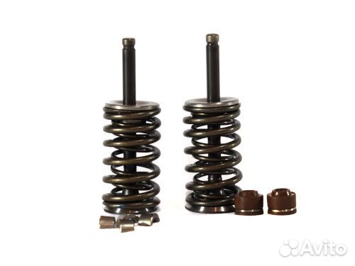 Клапаны комплект (пружины, тарелки, сухари) Alpha