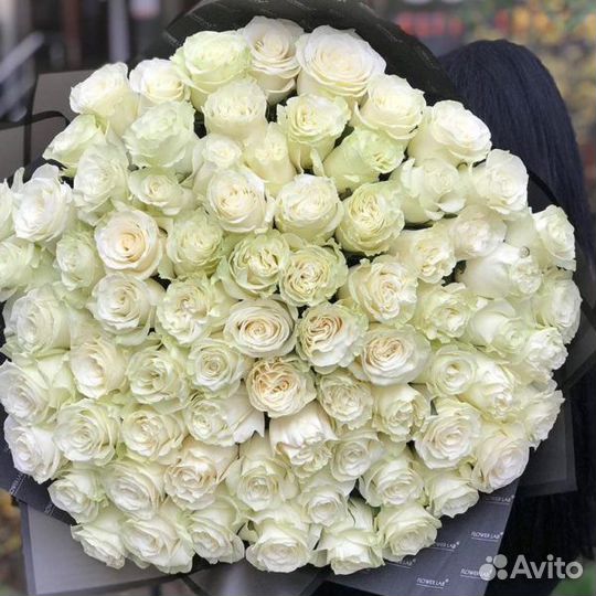 Белые розы 35 роз 51 роза 101 роза Букет роз