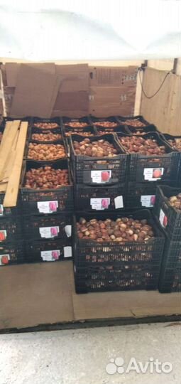 Грузоперевозки Переезды город/межгород грузчики