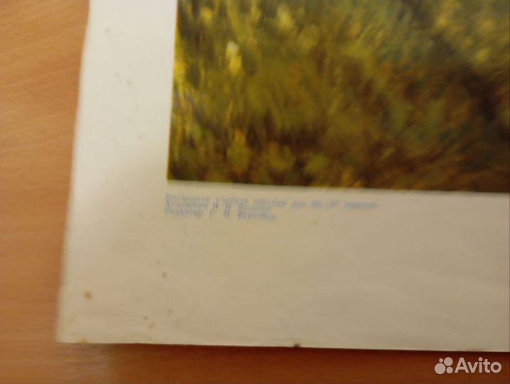 Плакат СССР 