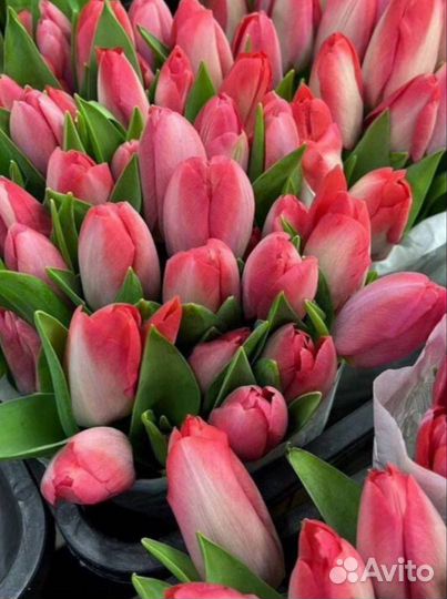 Букеты тюльпанов к 8 марта