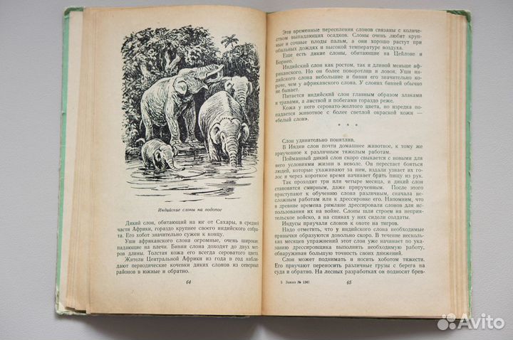 Беседы о животных. Клыков 1958 год винтаж