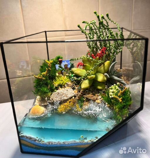 Флорариум 1 сентября День учителя день рождения