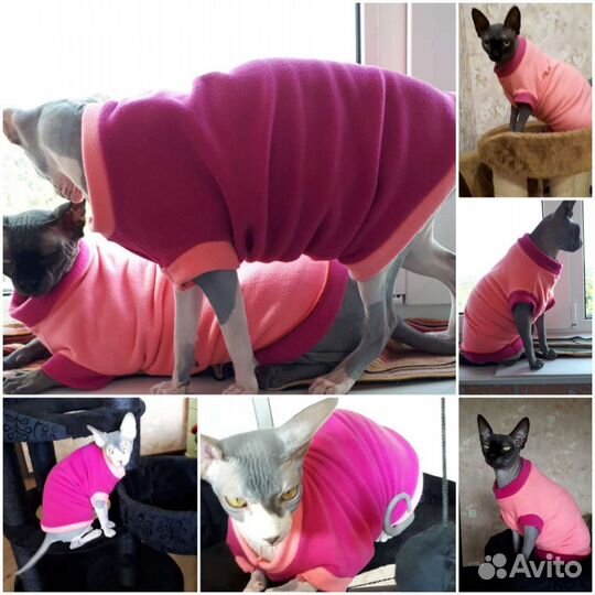 Тёплая одежда для сфинкса кошки питомца. Новая