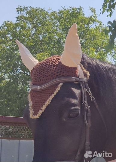 Ушки для лошади