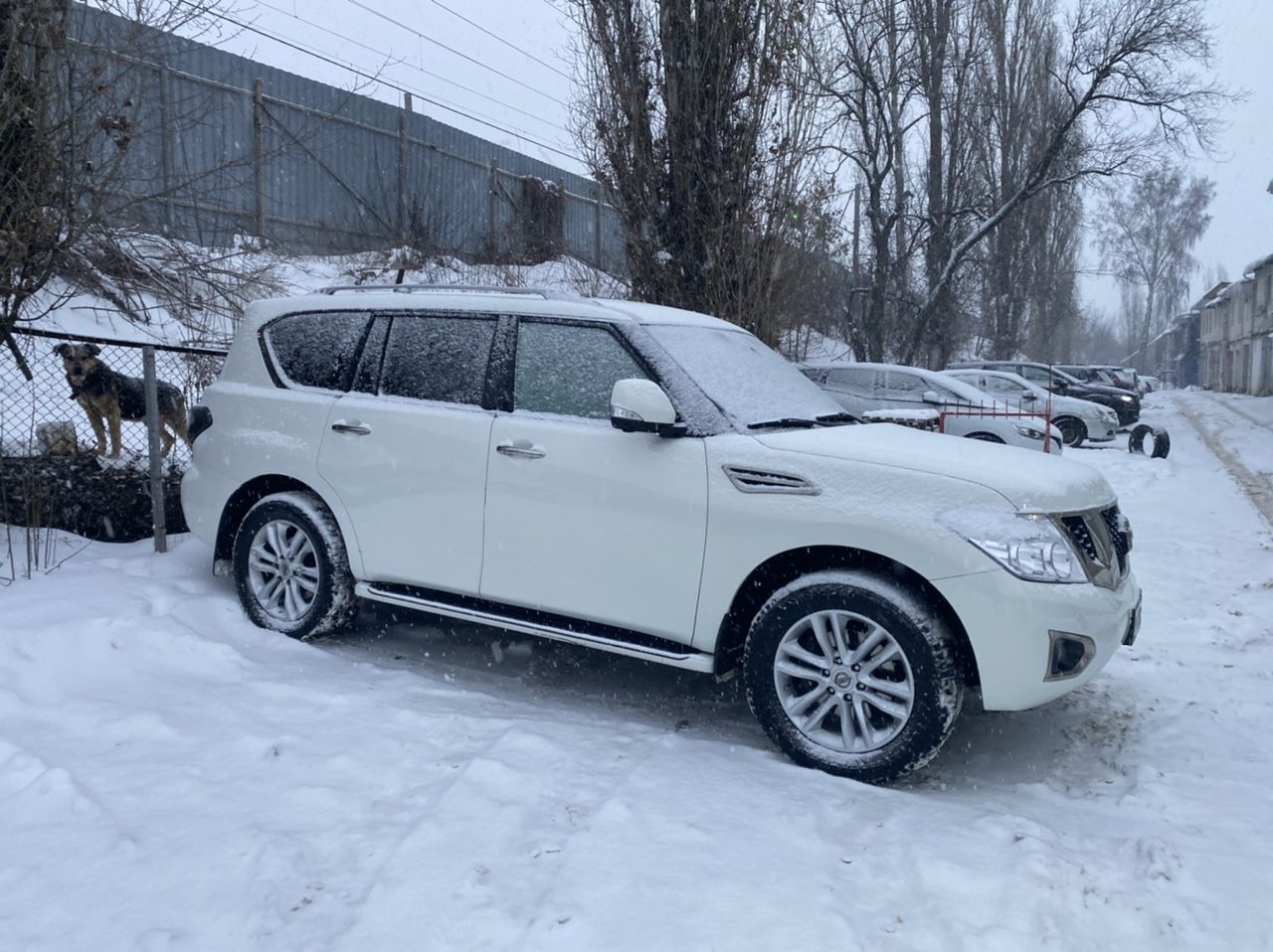 Nissan Patrol: фото владельца