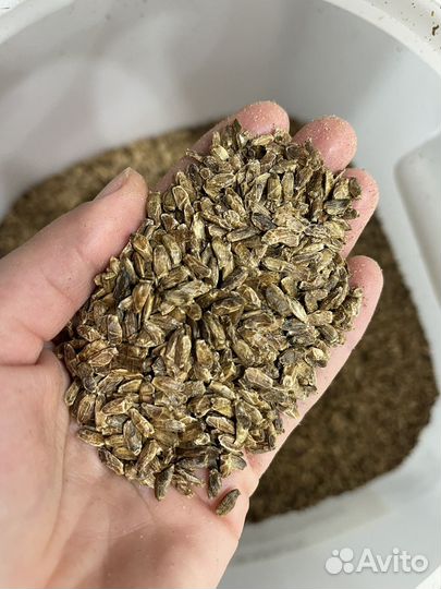 Жмых для животных, жмых льна, расторопши, рыжика