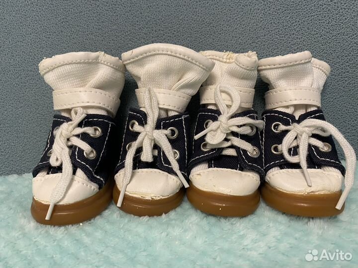 Обувь для маленьких собак