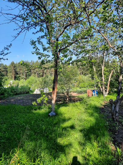 Дача 25 м² на участке 4 сот.