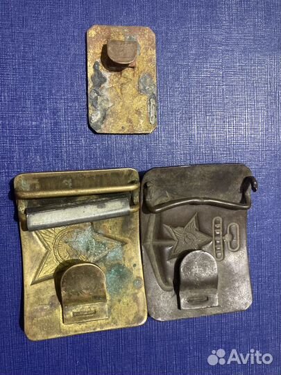 Пряжка морская