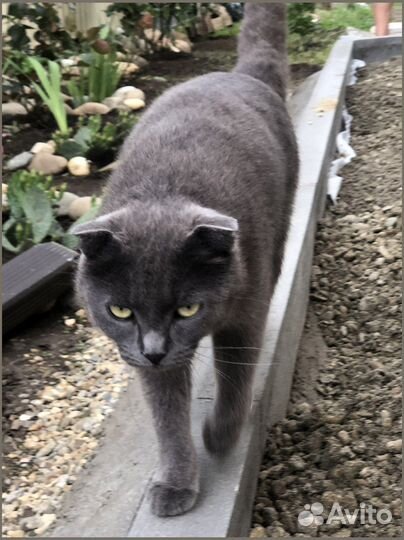 Тротуарная плитка новая заказ от 120 м2