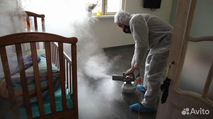 Устранение неприятных запахов трупный запах