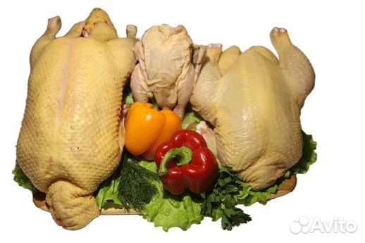 Мясо домашней птицы