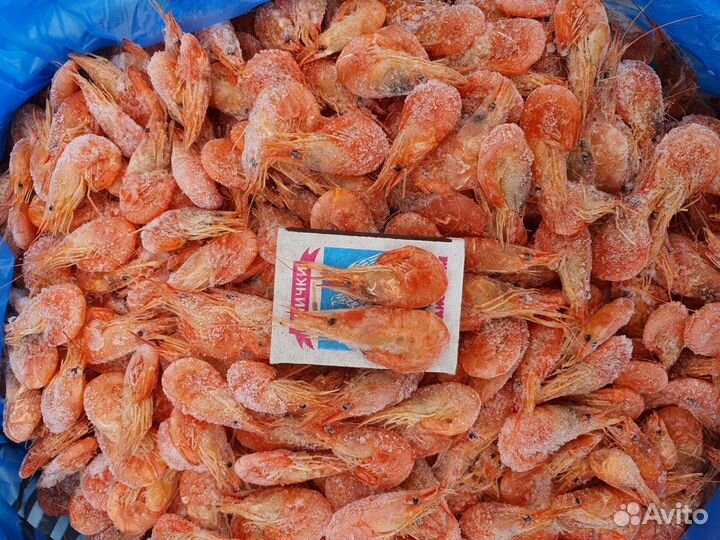 Черноморская креветка опт и розница