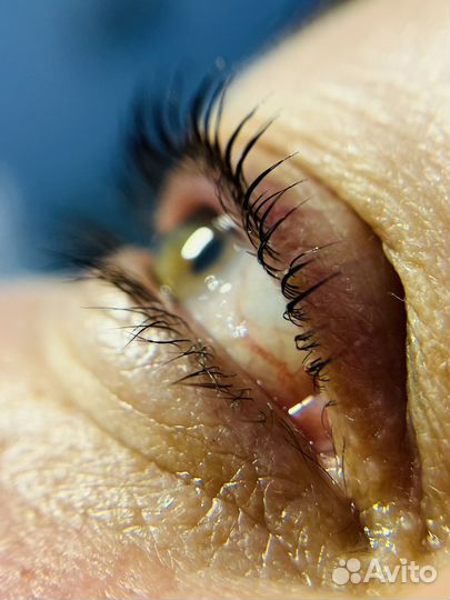 Ламинирование ресниц