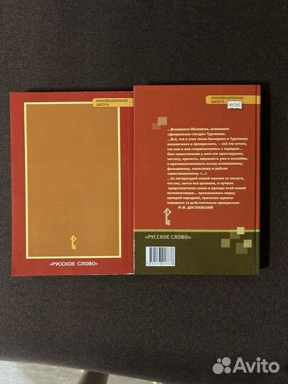 Литература 10 класс