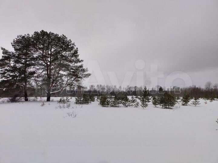 Участок 3,76 га (СНТ, ДНП)