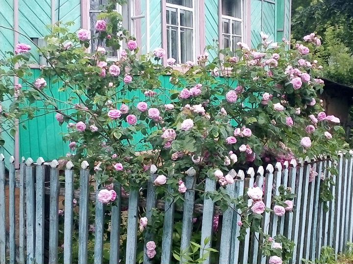 Дом 45 м² на участке 45 сот.