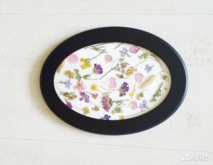 Панно картина из сухоцветов гербарий в рамке