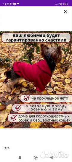 Толстовка для собак и кошек