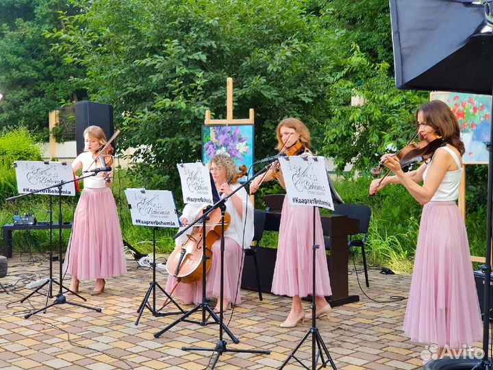 Музыканты на мероприятие. Скрипка на праздник
