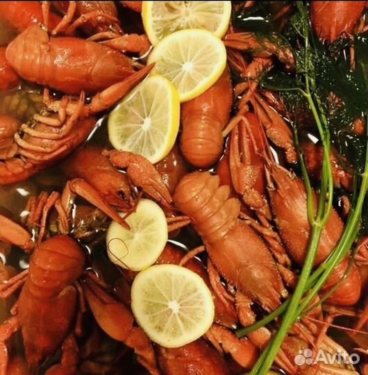 Живые раки, рак