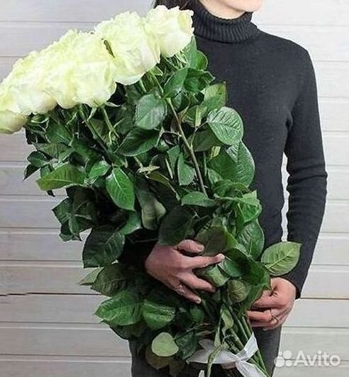 Розы Высокие 150см 160см 170см 180см 190см 2м