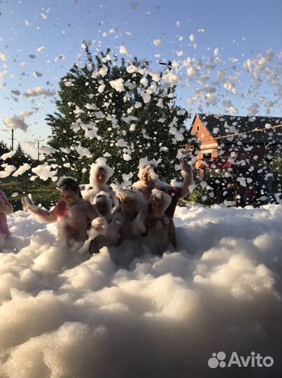 Аниматоры, пенная дискотека