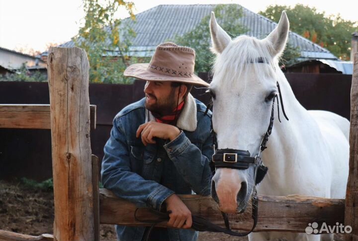 Конные прогулки и занятия