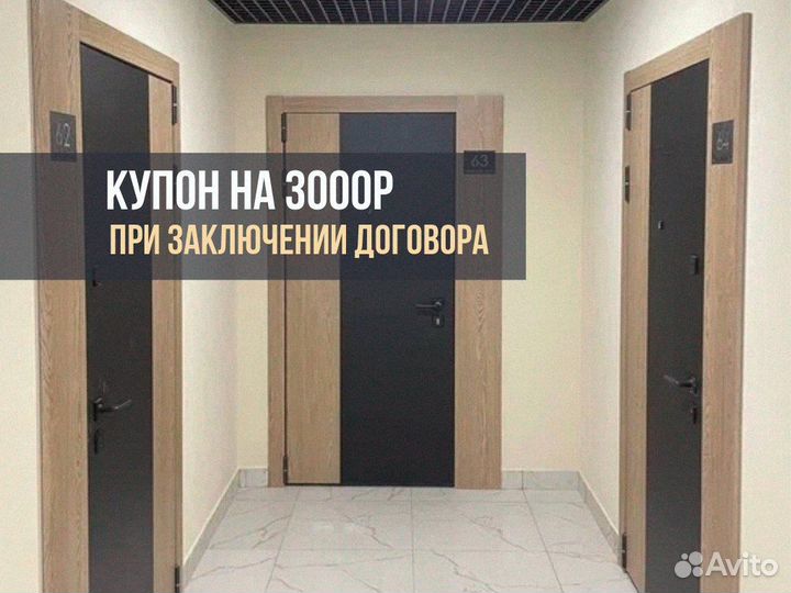 Дверь входная аргус