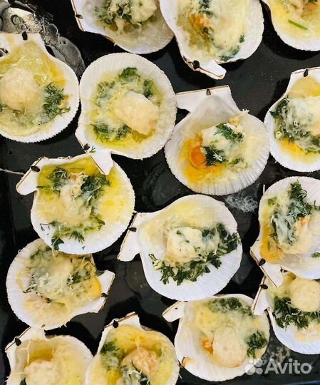 Морской гребешок