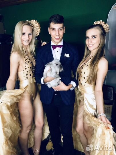 Фокусник- иллюзионист на свадьбу/юбилей