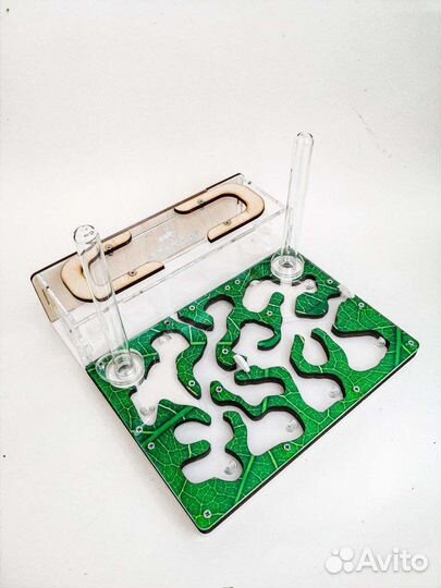 Формикарий. Муравьиная ферма с муравьями