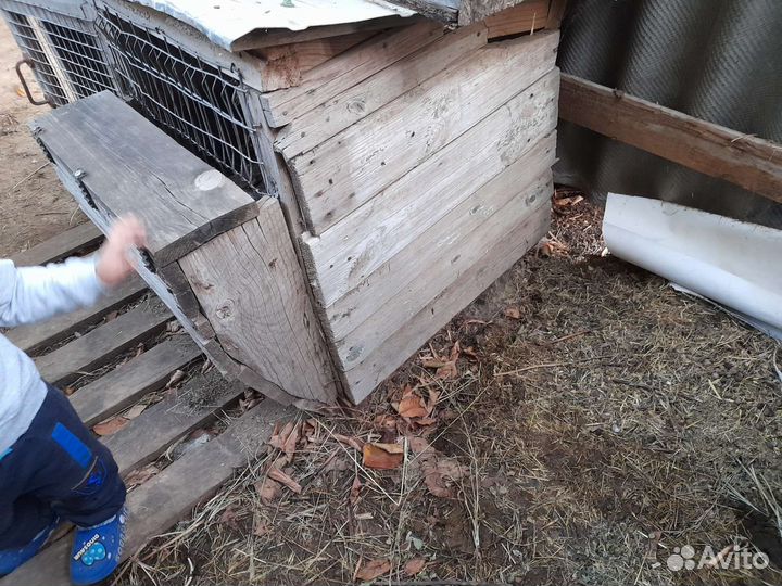 Клетка для кролика