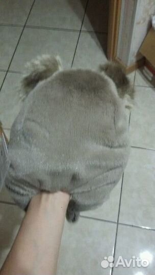 Шапочка Балу Новая