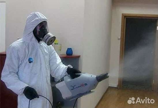 Уничтожение клопов травля тараканов