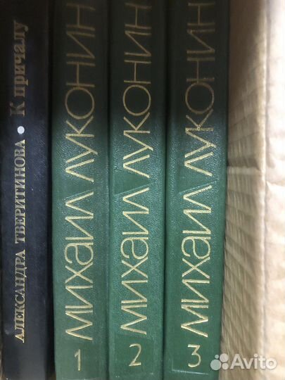 Михаил Луконин