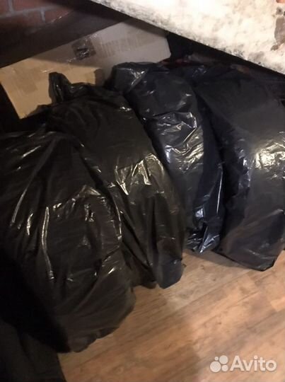 Continental ContiWinterContact TS 810 255/45 R18